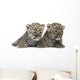 Persian Leopard Cub Wall Decal Design 2