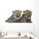 Persian Leopard Cub Wall Decal Design 2