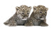 Persian Leopard Cub Wall Decal Design 2