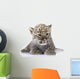 Persian Leopard Cub Wall Decal Design 1