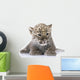 Persian Leopard Cub Wall Decal Design 1