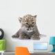 Persian Leopard Cub Wall Decal Design 1
