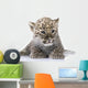 Persian Leopard Cub Wall Decal Design 1