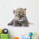 Persian Leopard Cub Wall Decal Design 1