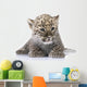 Persian Leopard Cub Wall Decal Design 1