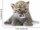 Persian Leopard Cub Wall Decal Design 1
