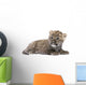 Persian Leopard Cub Wall Decal