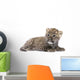 Persian Leopard Cub Wall Decal