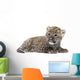 Persian Leopard Cub Wall Decal