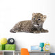 Persian Leopard Cub Wall Decal