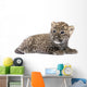 Persian Leopard Cub Wall Decal