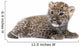 Persian Leopard Cub Wall Decal