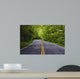 road with trees on both sides Wall Mural