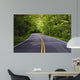 road with trees on both sides Wall Mural