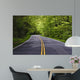 road with trees on both sides Wall Mural
