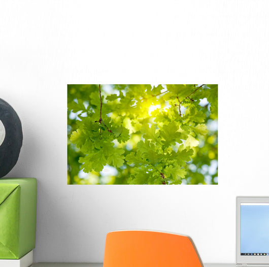 Oak Tree Leaves Sunlight Wall Decal