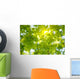 Oak Tree Leaves Sunlight Wall Decal