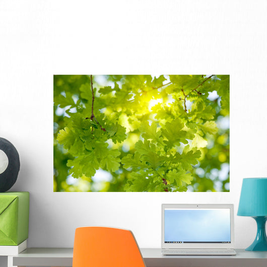 Oak Tree Leaves Sunlight Wall Decal