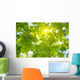 Oak Tree Leaves Sunlight Wall Decal