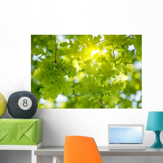 Oak Tree Leaves Sunlight Wall Decal