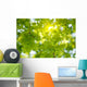 Oak Tree Leaves Sunlight Wall Decal