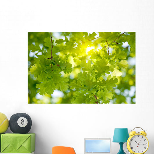 Oak Tree Leaves Sunlight Wall Decal