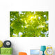 Oak Tree Leaves Sunlight Wall Decal