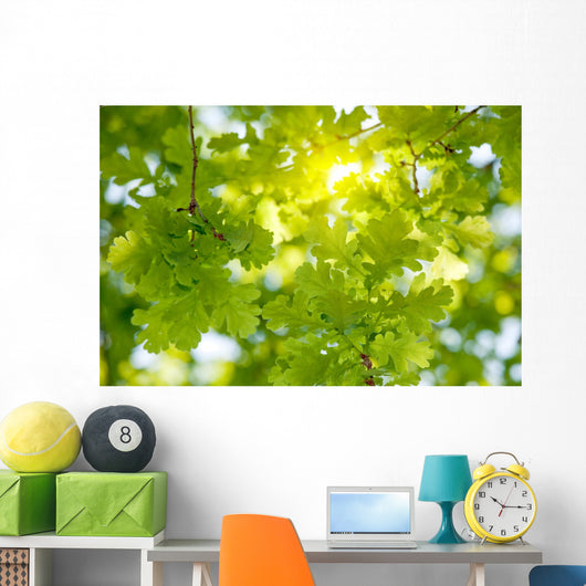Oak Tree Leaves Sunlight Wall Decal