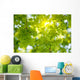 Oak Tree Leaves Sunlight Wall Decal