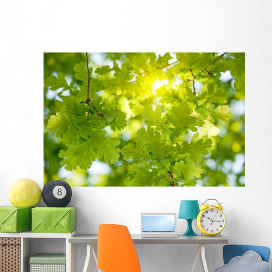 Oak Tree Leaves Sunlight Wall Decal
