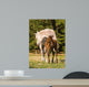 Arabian Mare and Foal Wall Mural