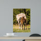 Arabian Mare and Foal Wall Mural