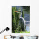 Grey Heron Ardea Cinerea Wall Decal