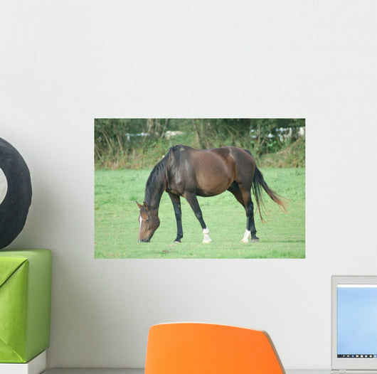 Cheval Wall Decal