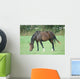 Cheval Wall Decal