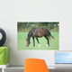 Cheval Wall Decal