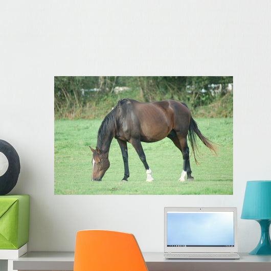 Cheval Wall Decal