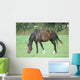 Cheval Wall Decal