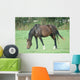 Cheval Wall Decal