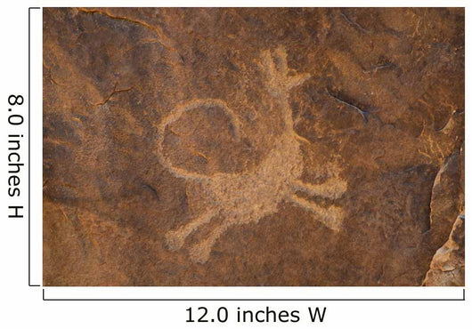 Petroglyph Moab Utah Wall Decal