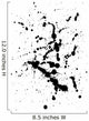 Ink Splat Wall Decal