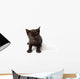 Black Cat Kid Wall Decal