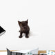 Black Cat Kid Wall Decal