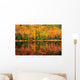 Fall Forest Reflections Wall Decal