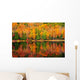 Fall Forest Reflections Wall Decal