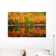 Fall Forest Reflections Wall Decal
