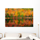 Fall Forest Reflections Wall Decal