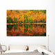 Fall Forest Reflections Wall Decal