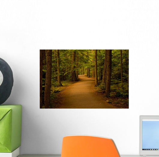 Path Forest Wall Decal