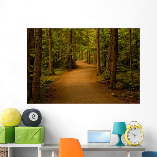 Path Forest Wall Decal